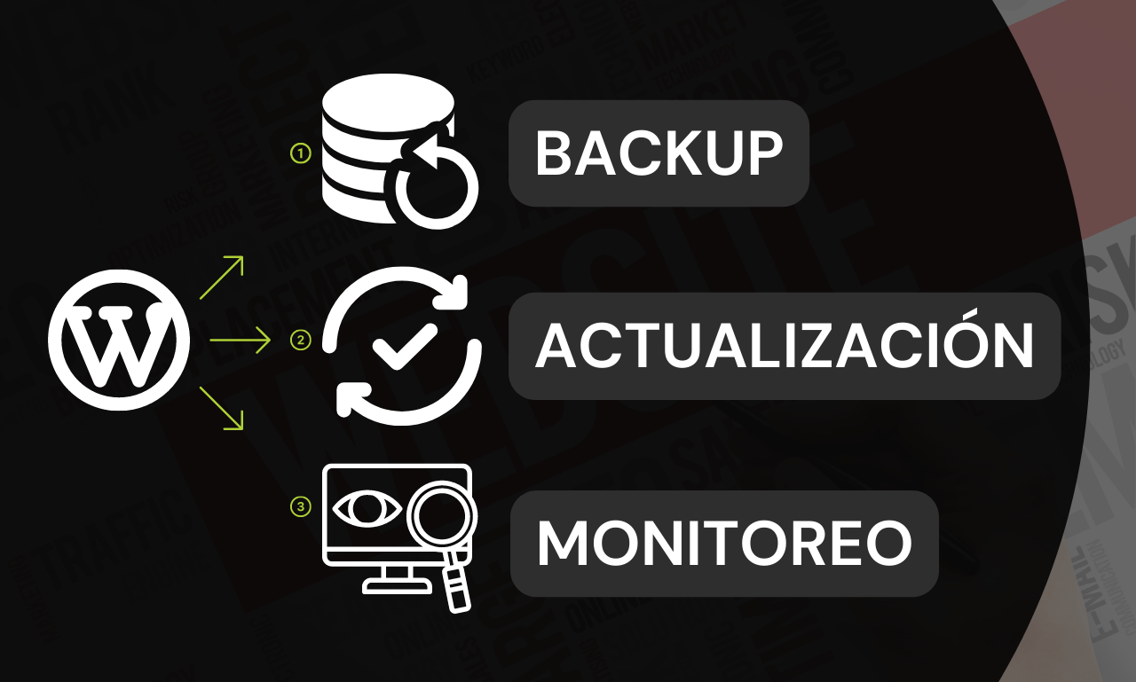 ACTUALIZACION DE WORDPRESS Y PLUGINS
